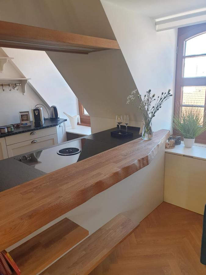 Modernes Apartment An Der Frauenkirche 德累斯顿 外观 照片